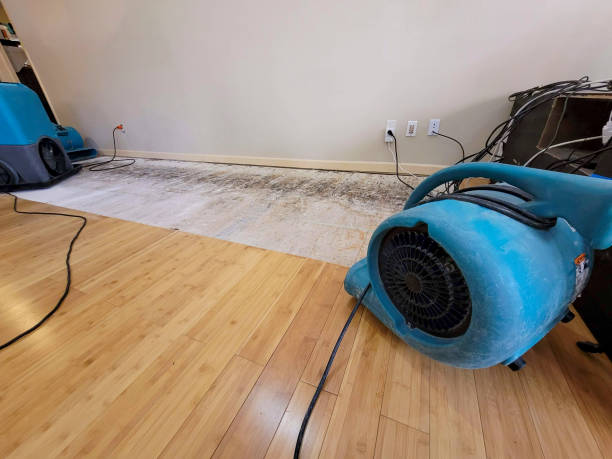 Professional Water Damage Repair technician working in Belmont, NH
